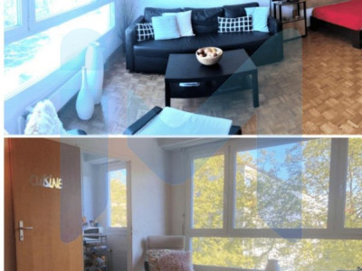 Appartement meublé de 1,5 pièces au 4ème étage situé à Genève 1203 image 1