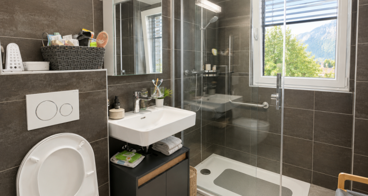 Grand appartement de 2.5 pièces image 3