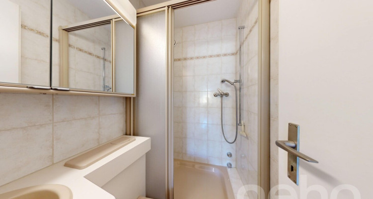3.5-Zimmer-Wohnung in Dietikon mit Fernsicht und Potenzial image 8