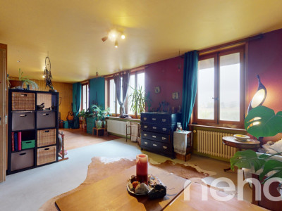Grosszügiges 10-Zimmer EFH in Safern mit Garten! image 5