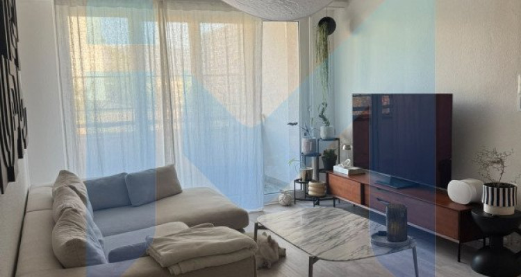 Appartement de 3 pièces au 5ème étage situé à Onex 1213 image 1