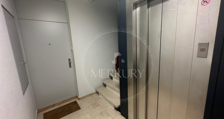 Un appartement de 4,5 dans le quartier de Grand Lancy  image 1