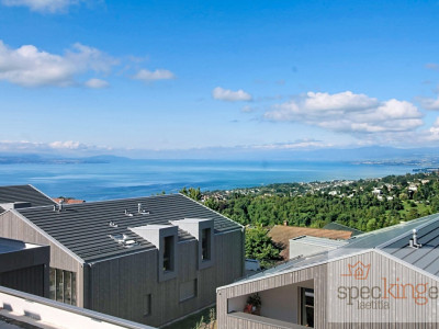 Lumineux appartement de 5,5 pièces, terrasse, très belle vue lac image 13