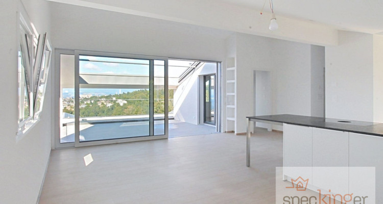 Lumineux appartement de 5,5 pièces, terrasse, très belle vue lac image 2