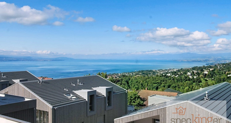 Lumineux appartement de 5,5 pièces, terrasse, très belle vue lac image 13