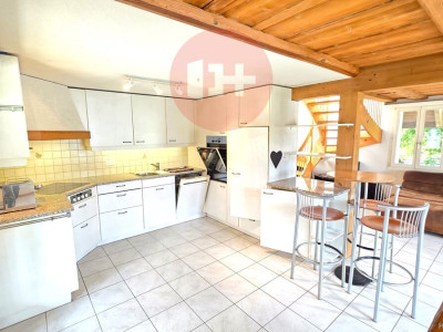 SONNIGES 5.5-ZIMMER BIJOU AUF 2 ETAGEN MIT SCHWEDENOFEN! image 1