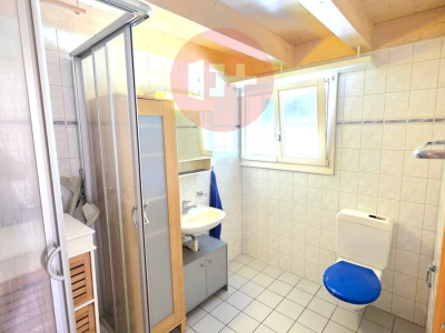 SONNIGES 5.5-ZIMMER BIJOU AUF 2 ETAGEN MIT SCHWEDENOFEN! image 7