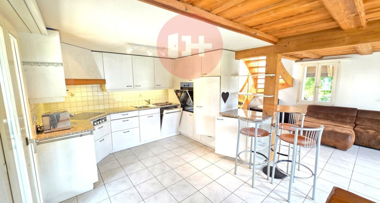 SONNIGES 5.5-ZIMMER BIJOU AUF 2 ETAGEN MIT SCHWEDENOFEN! image 1
