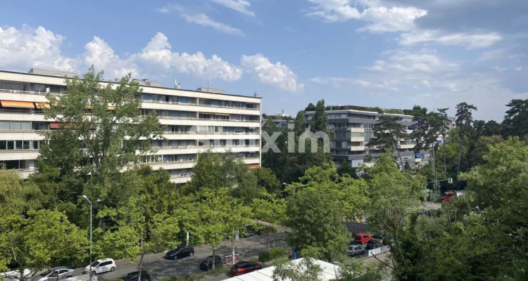 Magnifique appartement renové en CASATAX! image 5
