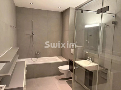 Magnifique duplex avec ascenseur privatif image 4