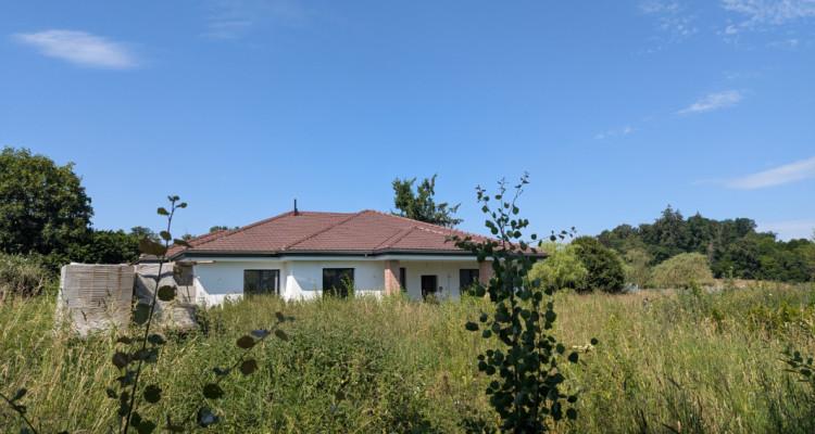 🌳Magnifique villa en pleine nature à Damphreux-Lugnez ! 2 options possibles !  image 4