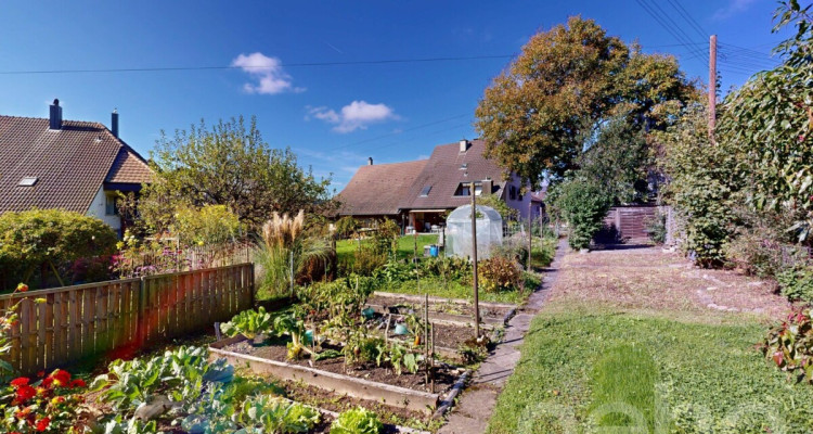 Charmantes 3.5-Zimmer-Haus mit separatem Garten image 10