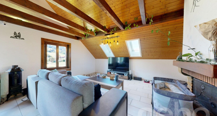Maison avec 2 appartements, grand jardin & fort potentiel image 11