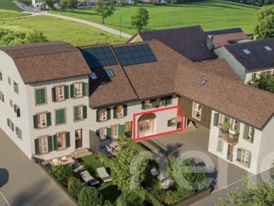 Magnifique 4,5 pièces avec grande terrasse et jardin privatif image 2