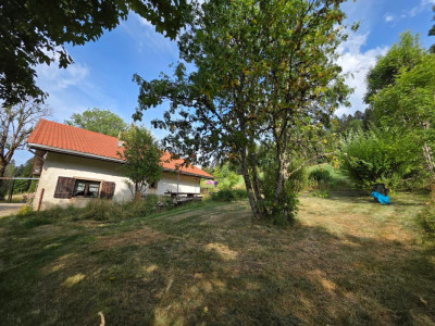 Charmante ferme rénovée avec un magnifique grand jardin image 3