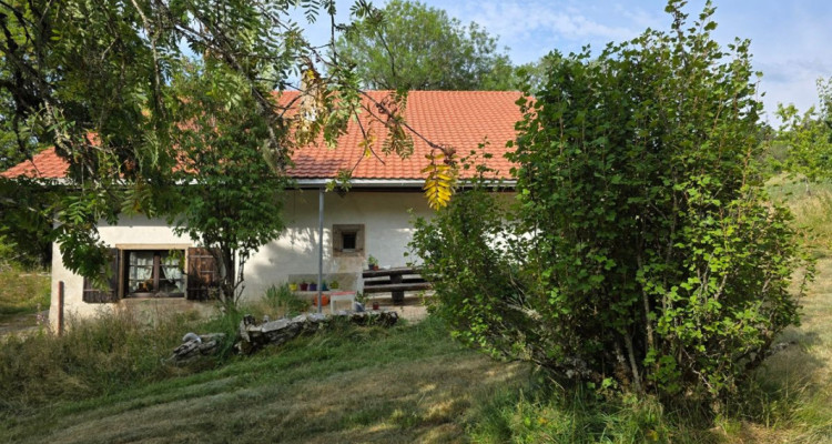 Charmante ferme rénovée avec un magnifique grand jardin image 2