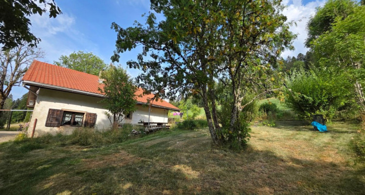 Charmante ferme rénovée avec un magnifique grand jardin image 3