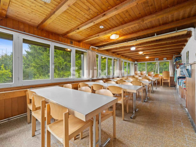 Opportunité ! Gîte/Chalet  Idéal pour Amoureux de la Nature et du Calme ! image 4