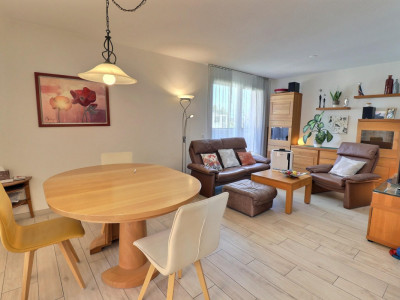 Magnifique attique en viager occupé sans rente image 6