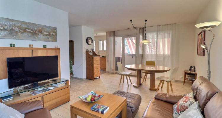 Magnifique attique en viager occupé sans rente image 5