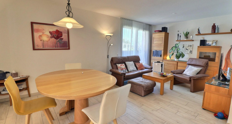 Magnifique attique en viager occupé sans rente image 6