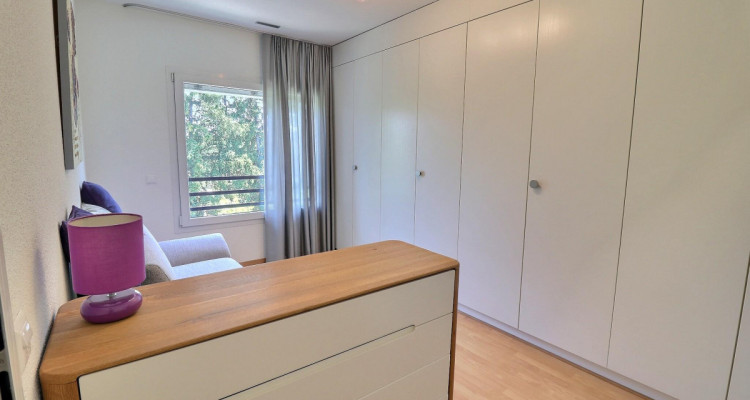 Magnifique attique en viager occupé sans rente image 8