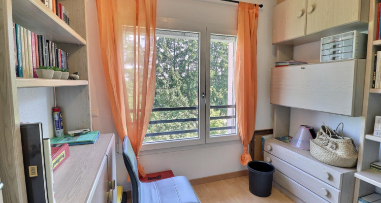 Magnifique attique en viager occupé sans rente image 9