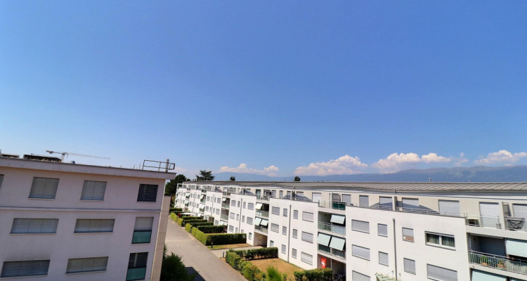 Magnifique attique en viager occupé sans rente image 12