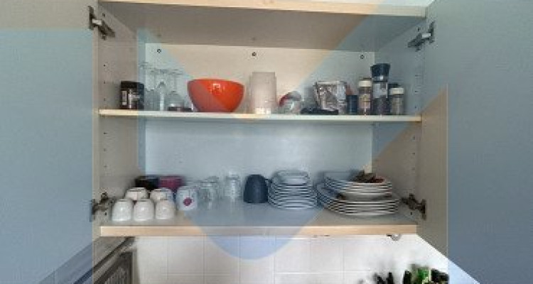 Appartement meublé de 1,5 pièces au 4ème étage situé à Genève 1203 image 4