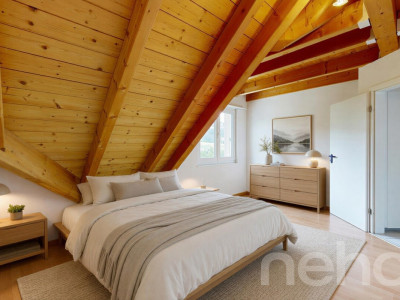 Magnifique appartement  de 4,5 pièces avec galerie et grand volume image 3