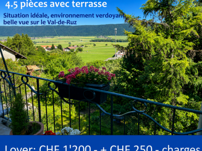 Charmant appartemet rénové avec terrasse au coeur de Cernier image 1