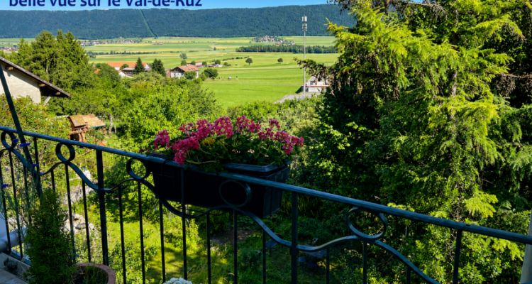 Charmant appartemet rénové avec terrasse au coeur de Cernier image 1