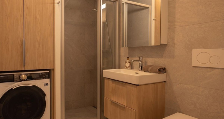 Superbe appartement moderne de 4,5 pièces avec grande terrasse, vue lac et Alpes image 13