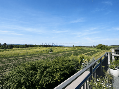 Mehr Raum. Mehr Aussicht. Mehr Zuhause. image 5