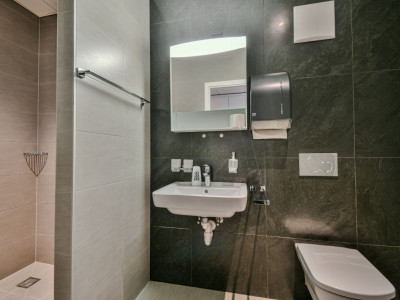 Local commercial au centre-ville image 10