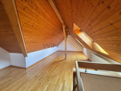 Hoch über den Dächern image 7