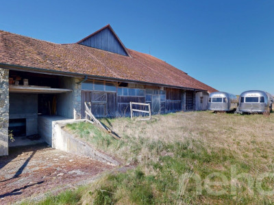 Magnifique ferme historique à transformer fort potentiel image 3