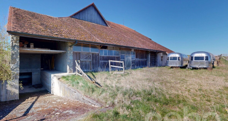 Magnifique ferme historique à transformer fort potentiel image 3