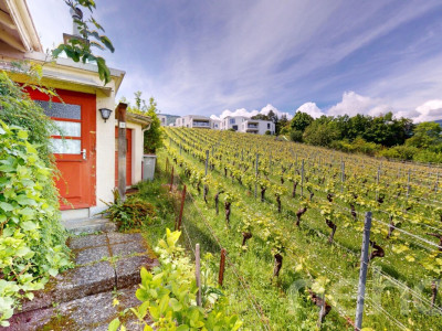 Cocon à créer avec vue dégagée sur les vignes image 1