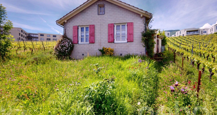 Cocon à créer avec vue dégagée sur les vignes image 4