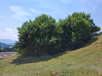 Exklusives Grundstück - Erhöht und freistehend image 2