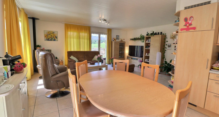 Jolie maison en viager occupé sans rente avec un grand terrain image 9