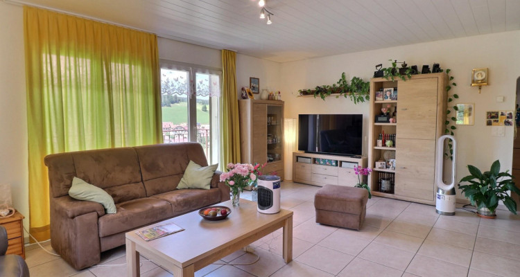 Jolie maison en viager occupé sans rente avec un grand terrain image 10