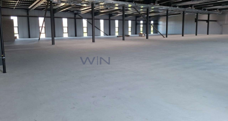 Neubau-Multisportflächen ab 1200 m² image 4