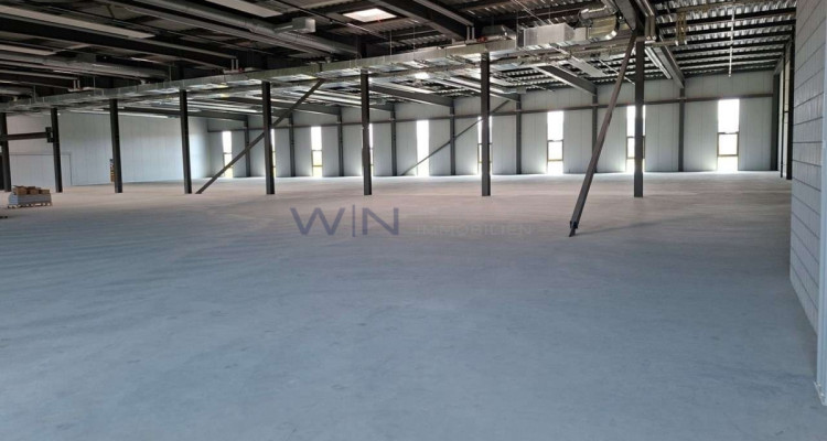 Neubau-Multisportflächen ab 1200 m² image 6