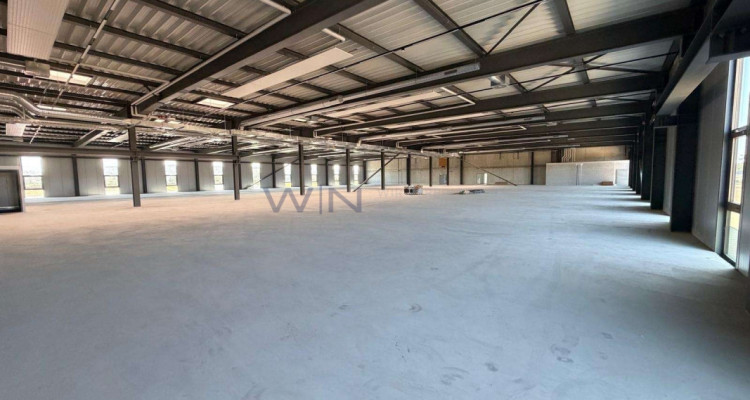 Neubau-Multisportflächen ab 1200 m² image 1
