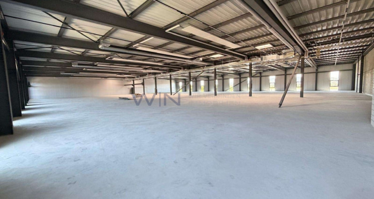 Neubau-Multisportflächen ab 1200 m² image 3