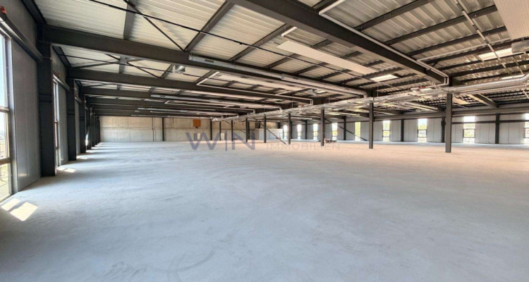 Neubau-Multisportflächen ab 1200 m² image 4