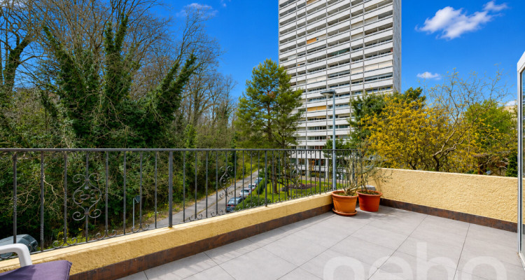 Triplex 5 pièces de 150 m² à personnaliser ? sous-sol aménagé image 3