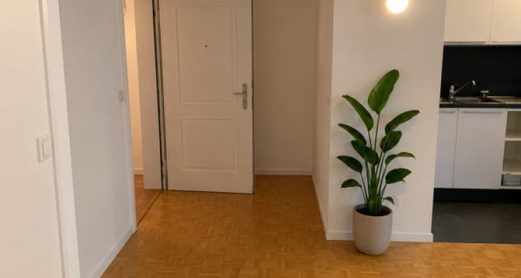 🏡 Studio haussmannien au cœur de Lausanne  image 4
